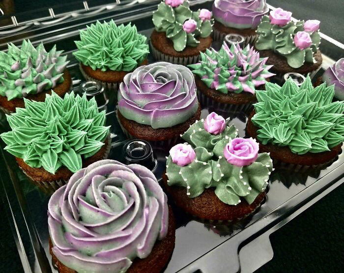 #11 Homemade Succulent Cupcakes #1 Homemade Cactus Cupcakes, #3 Homemade Lemon Pie, #5 Hand Painted Citrus Macarons, #7 Homemade French Macarons, #9 Homemade Honey BBQ Chicken Pot Pie, #11 Homemade Succulent Cupcakes, #13 Grandmas Delicious 21 Layer Jello, #15 Homemade Rainbow Fruit Tart, #17 Homemade Vanilla Toffee Scrabble Birthday Cake With Chocolate Buttercream, Caramel, And Banana, #19 Homemade Poached Rhubarb Frangipane Tart, #21 Homemade Cheeses!, #23 Homemade Breakfast Sugar Cookies, #25 Homemade Focaccia Landscape, #27 Homemade Kraken Pie, #31 Homemade Cheese, Meat, Fruit, Nut Platter For My Wife's 30th Birthday, #33 Homemade 5 Shades Of Crispy Chicken, #35 Homemade Korean Cream Cheese Garlic Bread, #37 Homemade Fresh Tagliatelle, Butter Poached Lobster, Morel-Lobster Cream Sauce, #39 Homemade Buttercream Succulent Cupcakes, #41 Homemade Donuts (Filled With Guava, Vanilla Custard, And Chocolate Ganache), #43 Homemade Macarons And Ma-Raccoons., #45 Homemade Churro With Dulce De Leche Cake, #47 Homemade Sourdough Bread, #49 Homemade The United States Of Christmas Cookies