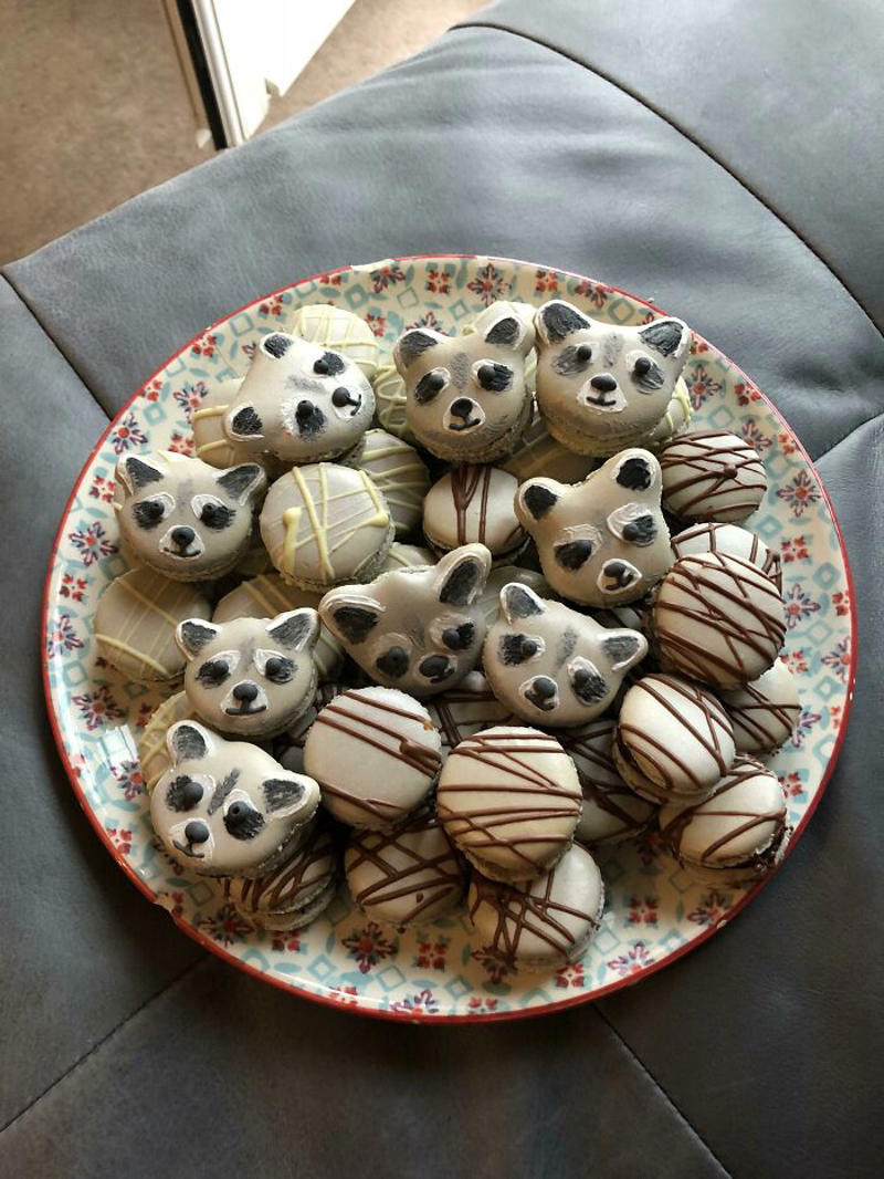 #43 Homemade Macarons And Ma-Raccoons. #1 Homemade Cactus Cupcakes, #3 Homemade Lemon Pie, #5 Hand Painted Citrus Macarons, #7 Homemade French Macarons, #9 Homemade Honey BBQ Chicken Pot Pie, #11 Homemade Succulent Cupcakes, #13 Grandmas Delicious 21 Layer Jello, #15 Homemade Rainbow Fruit Tart, #17 Homemade Vanilla Toffee Scrabble Birthday Cake With Chocolate Buttercream, Caramel, And Banana, #19 Homemade Poached Rhubarb Frangipane Tart, #21 Homemade Cheeses!, #23 Homemade Breakfast Sugar Cookies, #25 Homemade Focaccia Landscape, #27 Homemade Kraken Pie, #31 Homemade Cheese, Meat, Fruit, Nut Platter For My Wife's 30th Birthday, #33 Homemade 5 Shades Of Crispy Chicken, #35 Homemade Korean Cream Cheese Garlic Bread, #37 Homemade Fresh Tagliatelle, Butter Poached Lobster, Morel-Lobster Cream Sauce, #39 Homemade Buttercream Succulent Cupcakes, #41 Homemade Donuts (Filled With Guava, Vanilla Custard, And Chocolate Ganache), #43 Homemade Macarons And Ma-Raccoons., #45 Homemade Churro With Dulce De Leche Cake, #47 Homemade Sourdough Bread, #49 Homemade The United States Of Christmas Cookies