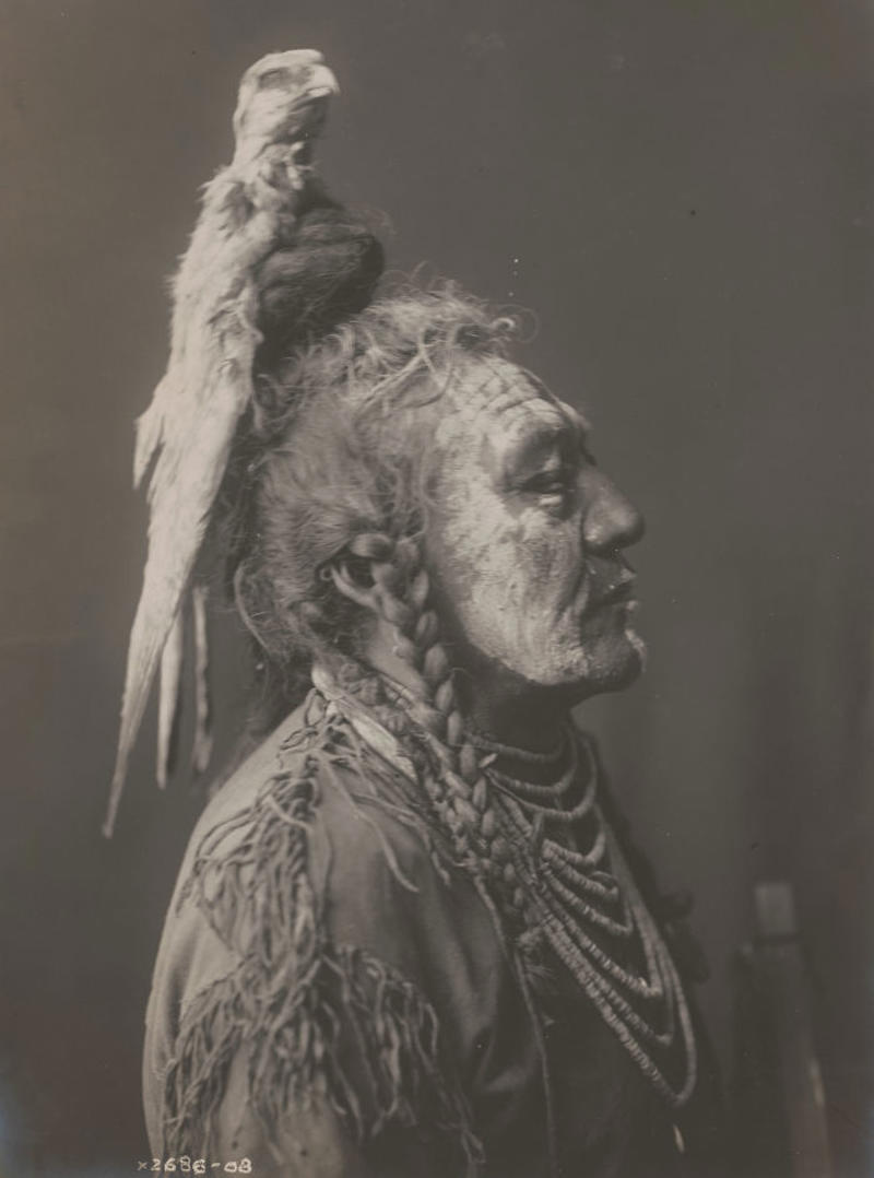 #33 Apsaroke Man Wearing Medicine Hawk Headdress, 1908 #1 A Klamath Chief Stands On A Hill Above Crater Lake, Oregon, 1923, #3 A Jicarrilla Girl, C. 1910, #5 An Apsaroke Mother And Child, 1908, #7 A Tewa Girl, 1906, #9 Piegan Tepees, 1910, #11 Mohave Woman, 1903, #13 A Kwakiutl Wedding Party Arrives In Canoes, 1914, #15 Eskadi, Of The Apache Tribe, 1903, #17 A Smoky Day At The Sugar Bowl, 1923, #19 Walpi Maidens, 1906, #21 Navajo Man, 1904, #23 Navajos, 1905, #25 Piegan Girls Gather Goldenrod, 1910, #27 A Hidatsa Man With A Captured Eagle, 1908, #29 Hakalahl, A Nakoaktok Chief, 1914, #31 A Young Member Of The Apache Tribe, C. 1910, #33 Apsaroke Man Wearing Medicine Hawk Headdress, 1908, #35 A Kwakiutl Gatherer Hunts Abalones In Washington, 1910, #37 Kwakiutl People In Canoes In British Columbia, 1914, #39 A Cahuilla Woman, 1924, #41 Members Of The Qagyuhl Tribe Dance To Restore An Eclipsed Moon, C. 1910, #43 Iahla, Also Known As "willow," Of The Taos Pueblo, 1905, #45 A Kutenai Duck Hunter, 1910, #47 A Hupa Woman, 1923, #49 A Maricopa Woman, 1907, #51 Spearing Salmon, 1923, #53 Nayenezgani, A Navajo Man, 1904, #55 A Zuni Woman, 1903, #57 Hopi Bridal Costume, 1900, #59 A Maricopa Woman With Arrow-brush Stalks, 1907, #61 At The Old Well Of Acoma, 1904, #63 A Kwakiutl Shaman, 1914, #65 An Apache Woman Reaps Grain, C. 1910, #67 A Sioux Hunter, 1905, #69 Piegan Chiefs, 1900, #71 Mnainak, A Yakima Chief, 1910