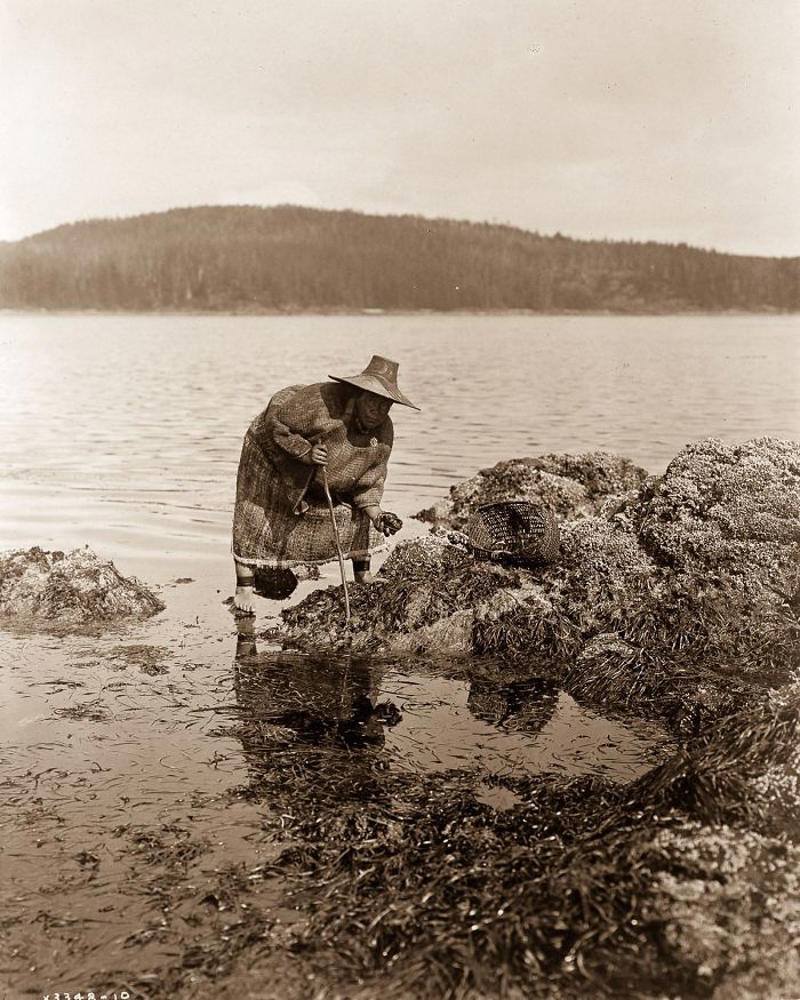 #35 A Kwakiutl Gatherer Hunts Abalones In Washington, 1910 #1 A Klamath Chief Stands On A Hill Above Crater Lake, Oregon, 1923, #3 A Jicarrilla Girl, C. 1910, #5 An Apsaroke Mother And Child, 1908, #7 A Tewa Girl, 1906, #9 Piegan Tepees, 1910, #11 Mohave Woman, 1903, #13 A Kwakiutl Wedding Party Arrives In Canoes, 1914, #15 Eskadi, Of The Apache Tribe, 1903, #17 A Smoky Day At The Sugar Bowl, 1923, #19 Walpi Maidens, 1906, #21 Navajo Man, 1904, #23 Navajos, 1905, #25 Piegan Girls Gather Goldenrod, 1910, #27 A Hidatsa Man With A Captured Eagle, 1908, #29 Hakalahl, A Nakoaktok Chief, 1914, #31 A Young Member Of The Apache Tribe, C. 1910, #33 Apsaroke Man Wearing Medicine Hawk Headdress, 1908, #35 A Kwakiutl Gatherer Hunts Abalones In Washington, 1910, #37 Kwakiutl People In Canoes In British Columbia, 1914, #39 A Cahuilla Woman, 1924, #41 Members Of The Qagyuhl Tribe Dance To Restore An Eclipsed Moon, C. 1910, #43 Iahla, Also Known As "willow," Of The Taos Pueblo, 1905, #45 A Kutenai Duck Hunter, 1910, #47 A Hupa Woman, 1923, #49 A Maricopa Woman, 1907, #51 Spearing Salmon, 1923, #53 Nayenezgani, A Navajo Man, 1904, #55 A Zuni Woman, 1903, #57 Hopi Bridal Costume, 1900, #59 A Maricopa Woman With Arrow-brush Stalks, 1907, #61 At The Old Well Of Acoma, 1904, #63 A Kwakiutl Shaman, 1914, #65 An Apache Woman Reaps Grain, C. 1910, #67 A Sioux Hunter, 1905, #69 Piegan Chiefs, 1900, #71 Mnainak, A Yakima Chief, 1910