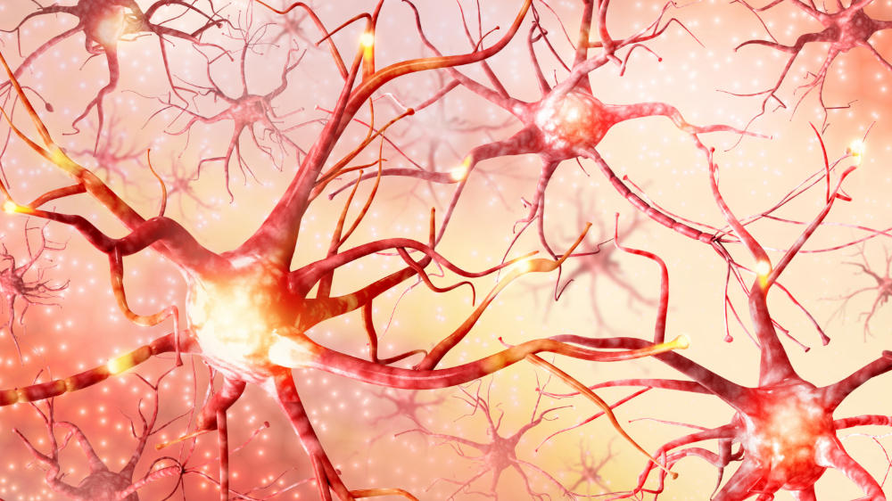 Why does the body need magnesium? Hormonal imbalance could indicate a deeper issue, A magnesium deficiency may be to blame, Numb legs during the night, Nerve compression can trigger wake-ups, Cortisol-related sleep patterns are often overlooked