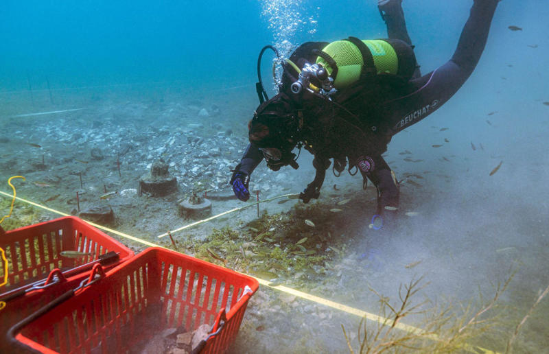 Archaeologists may have found Europe’s oldest village Awe-inspiring breakthroughs, The tomb of a long-missing pharaoh was discovered, The UK's largest-ever dinosaur footprint site, A PhD student accidentally discovered a giant lost city, Scientists mapped a fly's brain for the first time, The hidden river that built the Pyramids, An elephant never forgets (their own name), Biodiverse 'islands' in the sky, 100 new species in the deep, Mysteries of the world's deepest blue hole, Virus discovered in the Mariana Trench, A terrifying new wasp species was discovered, Scientists found an ancient landscape beneath the East Antarctic Ice Sheet, Jupiter has the most moons of any planet in the solar system, New findings suggest humans might not have originated in Africa, Archaeologists may have found Europe’s oldest village, New giant spider species discovered, Scientists finally explained Namibia’s Fairy Circles, Nefertiti's mummified remains may have been unearthed, The last ever thylacine was found in a museum vault, There’s a river longer than the Thames under Antarctica, We discovered a rainbow fish that’s born female and turns male, New research sheds light on the world’s earliest animals, We found out more about the effects of the dinosaur-killing asteroid, We discovered Africa’s oldest known dinosaur, A new species of maned sloth was found, An early gibbon fossil fills an evolutionary gap, We found a fossil of an underwater dinosaur in Morocco, Dinosaur footprints were found after drought in Texas, The world’s largest water lily was discovered in the UK, We identified an active volcano on Venus, The 'Rosetta Stone of marine palaeontology' was discovered in Australia, This volcano had the highest recorded plume, A 30,000-year-old woolly mammoth was unearthed in Canada, Insects produce as much electricity as thunder clouds, The world’s largest seagrass forest was found – by sharks, NASA discovered a new 'super Earth' 10 times the size of our planet, The evolution of tree roots may have driven mass extinctions, We uncovered why Egyptians mummified their corpses, This meteorite may reveal where the Earth's water comes from, This mural was rediscovered in Peru, A sea dragon fossil was found in the UK