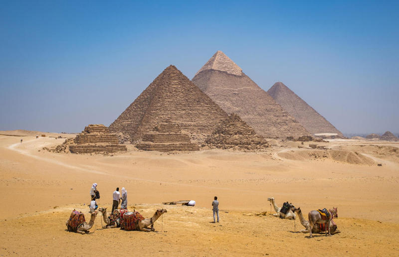The hidden river that built the Pyramids Awe-inspiring breakthroughs, The tomb of a long-missing pharaoh was discovered, The UK's largest-ever dinosaur footprint site, A PhD student accidentally discovered a giant lost city, Scientists mapped a fly's brain for the first time, The hidden river that built the Pyramids, An elephant never forgets (their own name), Biodiverse 'islands' in the sky, 100 new species in the deep, Mysteries of the world's deepest blue hole, Virus discovered in the Mariana Trench, A terrifying new wasp species was discovered, Scientists found an ancient landscape beneath the East Antarctic Ice Sheet, Jupiter has the most moons of any planet in the solar system, New findings suggest humans might not have originated in Africa, Archaeologists may have found Europe’s oldest village, New giant spider species discovered, Scientists finally explained Namibia’s Fairy Circles, Nefertiti's mummified remains may have been unearthed, The last ever thylacine was found in a museum vault, There’s a river longer than the Thames under Antarctica, We discovered a rainbow fish that’s born female and turns male, New research sheds light on the world’s earliest animals, We found out more about the effects of the dinosaur-killing asteroid, We discovered Africa’s oldest known dinosaur, A new species of maned sloth was found, An early gibbon fossil fills an evolutionary gap, We found a fossil of an underwater dinosaur in Morocco, Dinosaur footprints were found after drought in Texas, The world’s largest water lily was discovered in the UK, We identified an active volcano on Venus, The 'Rosetta Stone of marine palaeontology' was discovered in Australia, This volcano had the highest recorded plume, A 30,000-year-old woolly mammoth was unearthed in Canada, Insects produce as much electricity as thunder clouds, The world’s largest seagrass forest was found – by sharks, NASA discovered a new 'super Earth' 10 times the size of our planet, The evolution of tree roots may have driven mass extinctions, We uncovered why Egyptians mummified their corpses, This meteorite may reveal where the Earth's water comes from, This mural was rediscovered in Peru, A sea dragon fossil was found in the UK