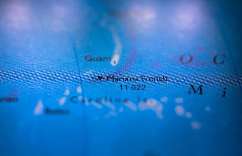 Virus discovered in the Mariana Trench Awe-inspiring breakthroughs, The tomb of a long-missing pharaoh was discovered, The UK's largest-ever dinosaur footprint site, A PhD student accidentally discovered a giant lost city, Scientists mapped a fly's brain for the first time, The hidden river that built the Pyramids, An elephant never forgets (their own name), Biodiverse 'islands' in the sky, 100 new species in the deep, Mysteries of the world's deepest blue hole, Virus discovered in the Mariana Trench, A terrifying new wasp species was discovered, Scientists found an ancient landscape beneath the East Antarctic Ice Sheet, Jupiter has the most moons of any planet in the solar system, New findings suggest humans might not have originated in Africa, Archaeologists may have found Europe’s oldest village, New giant spider species discovered, Scientists finally explained Namibia’s Fairy Circles, Nefertiti's mummified remains may have been unearthed, The last ever thylacine was found in a museum vault, There’s a river longer than the Thames under Antarctica, We discovered a rainbow fish that’s born female and turns male, New research sheds light on the world’s earliest animals, We found out more about the effects of the dinosaur-killing asteroid, We discovered Africa’s oldest known dinosaur, A new species of maned sloth was found, An early gibbon fossil fills an evolutionary gap, We found a fossil of an underwater dinosaur in Morocco, Dinosaur footprints were found after drought in Texas, The world’s largest water lily was discovered in the UK, We identified an active volcano on Venus, The 'Rosetta Stone of marine palaeontology' was discovered in Australia, This volcano had the highest recorded plume, A 30,000-year-old woolly mammoth was unearthed in Canada, Insects produce as much electricity as thunder clouds, The world’s largest seagrass forest was found – by sharks, NASA discovered a new 'super Earth' 10 times the size of our planet, The evolution of tree roots may have driven mass extinctions, We uncovered why Egyptians mummified their corpses, This meteorite may reveal where the Earth's water comes from, This mural was rediscovered in Peru, A sea dragon fossil was found in the UK