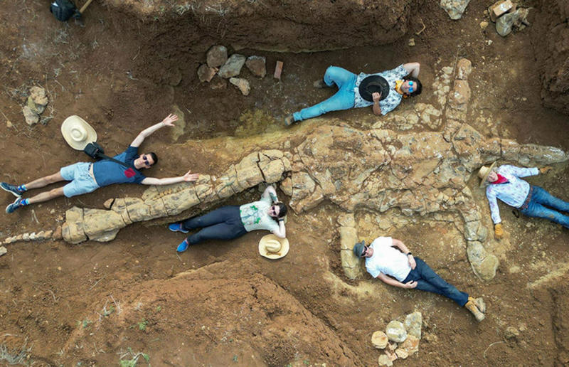 The 'Rosetta Stone of marine palaeontology' was discovered in Australia Awe-inspiring breakthroughs, The tomb of a long-missing pharaoh was discovered, The UK's largest-ever dinosaur footprint site, A PhD student accidentally discovered a giant lost city, Scientists mapped a fly's brain for the first time, The hidden river that built the Pyramids, An elephant never forgets (their own name), Biodiverse 'islands' in the sky, 100 new species in the deep, Mysteries of the world's deepest blue hole, Virus discovered in the Mariana Trench, A terrifying new wasp species was discovered, Scientists found an ancient landscape beneath the East Antarctic Ice Sheet, Jupiter has the most moons of any planet in the solar system, New findings suggest humans might not have originated in Africa, Archaeologists may have found Europe’s oldest village, New giant spider species discovered, Scientists finally explained Namibia’s Fairy Circles, Nefertiti's mummified remains may have been unearthed, The last ever thylacine was found in a museum vault, There’s a river longer than the Thames under Antarctica, We discovered a rainbow fish that’s born female and turns male, New research sheds light on the world’s earliest animals, We found out more about the effects of the dinosaur-killing asteroid, We discovered Africa’s oldest known dinosaur, A new species of maned sloth was found, An early gibbon fossil fills an evolutionary gap, We found a fossil of an underwater dinosaur in Morocco, Dinosaur footprints were found after drought in Texas, The world’s largest water lily was discovered in the UK, We identified an active volcano on Venus, The 'Rosetta Stone of marine palaeontology' was discovered in Australia, This volcano had the highest recorded plume, A 30,000-year-old woolly mammoth was unearthed in Canada, Insects produce as much electricity as thunder clouds, The world’s largest seagrass forest was found – by sharks, NASA discovered a new 'super Earth' 10 times the size of our planet, The evolution of tree roots may have driven mass extinctions, We uncovered why Egyptians mummified their corpses, This meteorite may reveal where the Earth's water comes from, This mural was rediscovered in Peru, A sea dragon fossil was found in the UK
