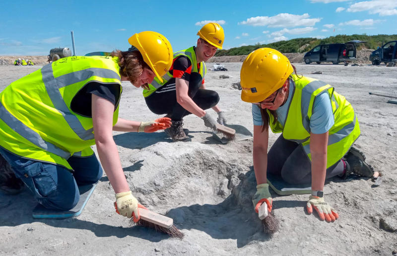 The UK's largest-ever dinosaur footprint site Awe-inspiring breakthroughs, The tomb of a long-missing pharaoh was discovered, The UK's largest-ever dinosaur footprint site, A PhD student accidentally discovered a giant lost city, Scientists mapped a fly's brain for the first time, The hidden river that built the Pyramids, An elephant never forgets (their own name), Biodiverse 'islands' in the sky, 100 new species in the deep, Mysteries of the world's deepest blue hole, Virus discovered in the Mariana Trench, A terrifying new wasp species was discovered, Scientists found an ancient landscape beneath the East Antarctic Ice Sheet, Jupiter has the most moons of any planet in the solar system, New findings suggest humans might not have originated in Africa, Archaeologists may have found Europe’s oldest village, New giant spider species discovered, Scientists finally explained Namibia’s Fairy Circles, Nefertiti's mummified remains may have been unearthed, The last ever thylacine was found in a museum vault, There’s a river longer than the Thames under Antarctica, We discovered a rainbow fish that’s born female and turns male, New research sheds light on the world’s earliest animals, We found out more about the effects of the dinosaur-killing asteroid, We discovered Africa’s oldest known dinosaur, A new species of maned sloth was found, An early gibbon fossil fills an evolutionary gap, We found a fossil of an underwater dinosaur in Morocco, Dinosaur footprints were found after drought in Texas, The world’s largest water lily was discovered in the UK, We identified an active volcano on Venus, The 'Rosetta Stone of marine palaeontology' was discovered in Australia, This volcano had the highest recorded plume, A 30,000-year-old woolly mammoth was unearthed in Canada, Insects produce as much electricity as thunder clouds, The world’s largest seagrass forest was found – by sharks, NASA discovered a new 'super Earth' 10 times the size of our planet, The evolution of tree roots may have driven mass extinctions, We uncovered why Egyptians mummified their corpses, This meteorite may reveal where the Earth's water comes from, This mural was rediscovered in Peru, A sea dragon fossil was found in the UK