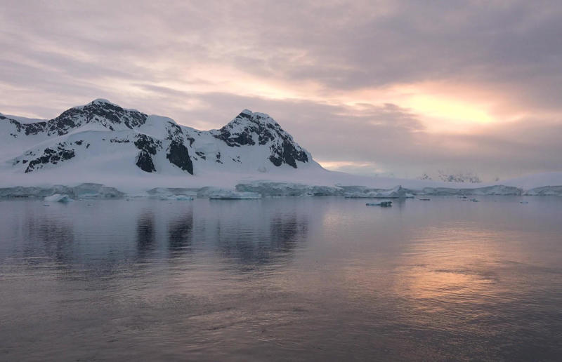 There’s a river longer than the Thames under Antarctica Awe-inspiring breakthroughs, The tomb of a long-missing pharaoh was discovered, The UK's largest-ever dinosaur footprint site, A PhD student accidentally discovered a giant lost city, Scientists mapped a fly's brain for the first time, The hidden river that built the Pyramids, An elephant never forgets (their own name), Biodiverse 'islands' in the sky, 100 new species in the deep, Mysteries of the world's deepest blue hole, Virus discovered in the Mariana Trench, A terrifying new wasp species was discovered, Scientists found an ancient landscape beneath the East Antarctic Ice Sheet, Jupiter has the most moons of any planet in the solar system, New findings suggest humans might not have originated in Africa, Archaeologists may have found Europe’s oldest village, New giant spider species discovered, Scientists finally explained Namibia’s Fairy Circles, Nefertiti's mummified remains may have been unearthed, The last ever thylacine was found in a museum vault, There’s a river longer than the Thames under Antarctica, We discovered a rainbow fish that’s born female and turns male, New research sheds light on the world’s earliest animals, We found out more about the effects of the dinosaur-killing asteroid, We discovered Africa’s oldest known dinosaur, A new species of maned sloth was found, An early gibbon fossil fills an evolutionary gap, We found a fossil of an underwater dinosaur in Morocco, Dinosaur footprints were found after drought in Texas, The world’s largest water lily was discovered in the UK, We identified an active volcano on Venus, The 'Rosetta Stone of marine palaeontology' was discovered in Australia, This volcano had the highest recorded plume, A 30,000-year-old woolly mammoth was unearthed in Canada, Insects produce as much electricity as thunder clouds, The world’s largest seagrass forest was found – by sharks, NASA discovered a new 'super Earth' 10 times the size of our planet, The evolution of tree roots may have driven mass extinctions, We uncovered why Egyptians mummified their corpses, This meteorite may reveal where the Earth's water comes from, This mural was rediscovered in Peru, A sea dragon fossil was found in the UK