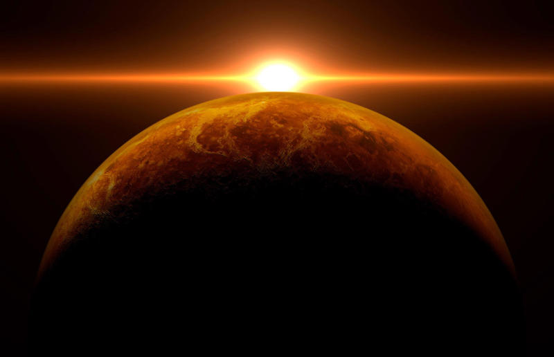 We identified an active volcano on Venus Awe-inspiring breakthroughs, The tomb of a long-missing pharaoh was discovered, The UK's largest-ever dinosaur footprint site, A PhD student accidentally discovered a giant lost city, Scientists mapped a fly's brain for the first time, The hidden river that built the Pyramids, An elephant never forgets (their own name), Biodiverse 'islands' in the sky, 100 new species in the deep, Mysteries of the world's deepest blue hole, Virus discovered in the Mariana Trench, A terrifying new wasp species was discovered, Scientists found an ancient landscape beneath the East Antarctic Ice Sheet, Jupiter has the most moons of any planet in the solar system, New findings suggest humans might not have originated in Africa, Archaeologists may have found Europe’s oldest village, New giant spider species discovered, Scientists finally explained Namibia’s Fairy Circles, Nefertiti's mummified remains may have been unearthed, The last ever thylacine was found in a museum vault, There’s a river longer than the Thames under Antarctica, We discovered a rainbow fish that’s born female and turns male, New research sheds light on the world’s earliest animals, We found out more about the effects of the dinosaur-killing asteroid, We discovered Africa’s oldest known dinosaur, A new species of maned sloth was found, An early gibbon fossil fills an evolutionary gap, We found a fossil of an underwater dinosaur in Morocco, Dinosaur footprints were found after drought in Texas, The world’s largest water lily was discovered in the UK, We identified an active volcano on Venus, The 'Rosetta Stone of marine palaeontology' was discovered in Australia, This volcano had the highest recorded plume, A 30,000-year-old woolly mammoth was unearthed in Canada, Insects produce as much electricity as thunder clouds, The world’s largest seagrass forest was found – by sharks, NASA discovered a new 'super Earth' 10 times the size of our planet, The evolution of tree roots may have driven mass extinctions, We uncovered why Egyptians mummified their corpses, This meteorite may reveal where the Earth's water comes from, This mural was rediscovered in Peru, A sea dragon fossil was found in the UK