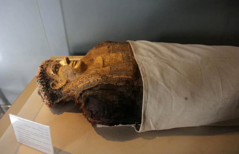 We uncovered why Egyptians mummified their corpses Awe-inspiring breakthroughs, The tomb of a long-missing pharaoh was discovered, The UK's largest-ever dinosaur footprint site, A PhD student accidentally discovered a giant lost city, Scientists mapped a fly's brain for the first time, The hidden river that built the Pyramids, An elephant never forgets (their own name), Biodiverse 'islands' in the sky, 100 new species in the deep, Mysteries of the world's deepest blue hole, Virus discovered in the Mariana Trench, A terrifying new wasp species was discovered, Scientists found an ancient landscape beneath the East Antarctic Ice Sheet, Jupiter has the most moons of any planet in the solar system, New findings suggest humans might not have originated in Africa, Archaeologists may have found Europe’s oldest village, New giant spider species discovered, Scientists finally explained Namibia’s Fairy Circles, Nefertiti's mummified remains may have been unearthed, The last ever thylacine was found in a museum vault, There’s a river longer than the Thames under Antarctica, We discovered a rainbow fish that’s born female and turns male, New research sheds light on the world’s earliest animals, We found out more about the effects of the dinosaur-killing asteroid, We discovered Africa’s oldest known dinosaur, A new species of maned sloth was found, An early gibbon fossil fills an evolutionary gap, We found a fossil of an underwater dinosaur in Morocco, Dinosaur footprints were found after drought in Texas, The world’s largest water lily was discovered in the UK, We identified an active volcano on Venus, The 'Rosetta Stone of marine palaeontology' was discovered in Australia, This volcano had the highest recorded plume, A 30,000-year-old woolly mammoth was unearthed in Canada, Insects produce as much electricity as thunder clouds, The world’s largest seagrass forest was found – by sharks, NASA discovered a new 'super Earth' 10 times the size of our planet, The evolution of tree roots may have driven mass extinctions, We uncovered why Egyptians mummified their corpses, This meteorite may reveal where the Earth's water comes from, This mural was rediscovered in Peru, A sea dragon fossil was found in the UK