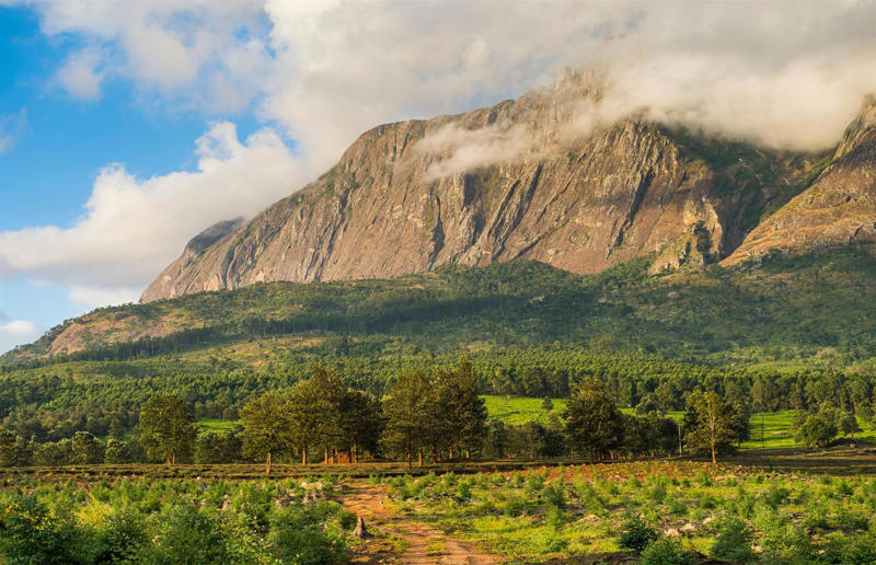 Biodiverse 'islands' in the sky Awe-inspiring breakthroughs, The tomb of a long-missing pharaoh was discovered, The UK's largest-ever dinosaur footprint site, A PhD student accidentally discovered a giant lost city, Scientists mapped a fly's brain for the first time, The hidden river that built the Pyramids, An elephant never forgets (their own name), Biodiverse 'islands' in the sky, 100 new species in the deep, Mysteries of the world's deepest blue hole, Virus discovered in the Mariana Trench, A terrifying new wasp species was discovered, Scientists found an ancient landscape beneath the East Antarctic Ice Sheet, Jupiter has the most moons of any planet in the solar system, New findings suggest humans might not have originated in Africa, Archaeologists may have found Europe’s oldest village, New giant spider species discovered, Scientists finally explained Namibia’s Fairy Circles, Nefertiti's mummified remains may have been unearthed, The last ever thylacine was found in a museum vault, There’s a river longer than the Thames under Antarctica, We discovered a rainbow fish that’s born female and turns male, New research sheds light on the world’s earliest animals, We found out more about the effects of the dinosaur-killing asteroid, We discovered Africa’s oldest known dinosaur, A new species of maned sloth was found, An early gibbon fossil fills an evolutionary gap, We found a fossil of an underwater dinosaur in Morocco, Dinosaur footprints were found after drought in Texas, The world’s largest water lily was discovered in the UK, We identified an active volcano on Venus, The 'Rosetta Stone of marine palaeontology' was discovered in Australia, This volcano had the highest recorded plume, A 30,000-year-old woolly mammoth was unearthed in Canada, Insects produce as much electricity as thunder clouds, The world’s largest seagrass forest was found – by sharks, NASA discovered a new 'super Earth' 10 times the size of our planet, The evolution of tree roots may have driven mass extinctions, We uncovered why Egyptians mummified their corpses, This meteorite may reveal where the Earth's water comes from, This mural was rediscovered in Peru, A sea dragon fossil was found in the UK