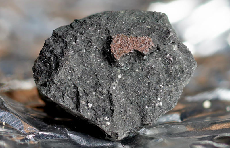 This meteorite may reveal where the Earth's water comes from Awe-inspiring breakthroughs, The tomb of a long-missing pharaoh was discovered, The UK's largest-ever dinosaur footprint site, A PhD student accidentally discovered a giant lost city, Scientists mapped a fly's brain for the first time, The hidden river that built the Pyramids, An elephant never forgets (their own name), Biodiverse 'islands' in the sky, 100 new species in the deep, Mysteries of the world's deepest blue hole, Virus discovered in the Mariana Trench, A terrifying new wasp species was discovered, Scientists found an ancient landscape beneath the East Antarctic Ice Sheet, Jupiter has the most moons of any planet in the solar system, New findings suggest humans might not have originated in Africa, Archaeologists may have found Europe’s oldest village, New giant spider species discovered, Scientists finally explained Namibia’s Fairy Circles, Nefertiti's mummified remains may have been unearthed, The last ever thylacine was found in a museum vault, There’s a river longer than the Thames under Antarctica, We discovered a rainbow fish that’s born female and turns male, New research sheds light on the world’s earliest animals, We found out more about the effects of the dinosaur-killing asteroid, We discovered Africa’s oldest known dinosaur, A new species of maned sloth was found, An early gibbon fossil fills an evolutionary gap, We found a fossil of an underwater dinosaur in Morocco, Dinosaur footprints were found after drought in Texas, The world’s largest water lily was discovered in the UK, We identified an active volcano on Venus, The 'Rosetta Stone of marine palaeontology' was discovered in Australia, This volcano had the highest recorded plume, A 30,000-year-old woolly mammoth was unearthed in Canada, Insects produce as much electricity as thunder clouds, The world’s largest seagrass forest was found – by sharks, NASA discovered a new 'super Earth' 10 times the size of our planet, The evolution of tree roots may have driven mass extinctions, We uncovered why Egyptians mummified their corpses, This meteorite may reveal where the Earth's water comes from, This mural was rediscovered in Peru, A sea dragon fossil was found in the UK