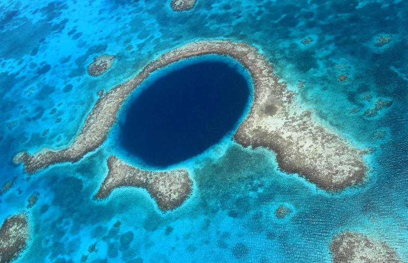 Mysteries of the world's deepest blue hole Awe-inspiring breakthroughs, The tomb of a long-missing pharaoh was discovered, The UK's largest-ever dinosaur footprint site, A PhD student accidentally discovered a giant lost city, Scientists mapped a fly's brain for the first time, The hidden river that built the Pyramids, An elephant never forgets (their own name), Biodiverse 'islands' in the sky, 100 new species in the deep, Mysteries of the world's deepest blue hole, Virus discovered in the Mariana Trench, A terrifying new wasp species was discovered, Scientists found an ancient landscape beneath the East Antarctic Ice Sheet, Jupiter has the most moons of any planet in the solar system, New findings suggest humans might not have originated in Africa, Archaeologists may have found Europe’s oldest village, New giant spider species discovered, Scientists finally explained Namibia’s Fairy Circles, Nefertiti's mummified remains may have been unearthed, The last ever thylacine was found in a museum vault, There’s a river longer than the Thames under Antarctica, We discovered a rainbow fish that’s born female and turns male, New research sheds light on the world’s earliest animals, We found out more about the effects of the dinosaur-killing asteroid, We discovered Africa’s oldest known dinosaur, A new species of maned sloth was found, An early gibbon fossil fills an evolutionary gap, We found a fossil of an underwater dinosaur in Morocco, Dinosaur footprints were found after drought in Texas, The world’s largest water lily was discovered in the UK, We identified an active volcano on Venus, The 'Rosetta Stone of marine palaeontology' was discovered in Australia, This volcano had the highest recorded plume, A 30,000-year-old woolly mammoth was unearthed in Canada, Insects produce as much electricity as thunder clouds, The world’s largest seagrass forest was found – by sharks, NASA discovered a new 'super Earth' 10 times the size of our planet, The evolution of tree roots may have driven mass extinctions, We uncovered why Egyptians mummified their corpses, This meteorite may reveal where the Earth's water comes from, This mural was rediscovered in Peru, A sea dragon fossil was found in the UK