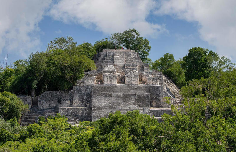 A PhD student accidentally discovered a giant lost city Awe-inspiring breakthroughs, The tomb of a long-missing pharaoh was discovered, The UK's largest-ever dinosaur footprint site, A PhD student accidentally discovered a giant lost city, Scientists mapped a fly's brain for the first time, The hidden river that built the Pyramids, An elephant never forgets (their own name), Biodiverse 'islands' in the sky, 100 new species in the deep, Mysteries of the world's deepest blue hole, Virus discovered in the Mariana Trench, A terrifying new wasp species was discovered, Scientists found an ancient landscape beneath the East Antarctic Ice Sheet, Jupiter has the most moons of any planet in the solar system, New findings suggest humans might not have originated in Africa, Archaeologists may have found Europe’s oldest village, New giant spider species discovered, Scientists finally explained Namibia’s Fairy Circles, Nefertiti's mummified remains may have been unearthed, The last ever thylacine was found in a museum vault, There’s a river longer than the Thames under Antarctica, We discovered a rainbow fish that’s born female and turns male, New research sheds light on the world’s earliest animals, We found out more about the effects of the dinosaur-killing asteroid, We discovered Africa’s oldest known dinosaur, A new species of maned sloth was found, An early gibbon fossil fills an evolutionary gap, We found a fossil of an underwater dinosaur in Morocco, Dinosaur footprints were found after drought in Texas, The world’s largest water lily was discovered in the UK, We identified an active volcano on Venus, The 'Rosetta Stone of marine palaeontology' was discovered in Australia, This volcano had the highest recorded plume, A 30,000-year-old woolly mammoth was unearthed in Canada, Insects produce as much electricity as thunder clouds, The world’s largest seagrass forest was found – by sharks, NASA discovered a new 'super Earth' 10 times the size of our planet, The evolution of tree roots may have driven mass extinctions, We uncovered why Egyptians mummified their corpses, This meteorite may reveal where the Earth's water comes from, This mural was rediscovered in Peru, A sea dragon fossil was found in the UK