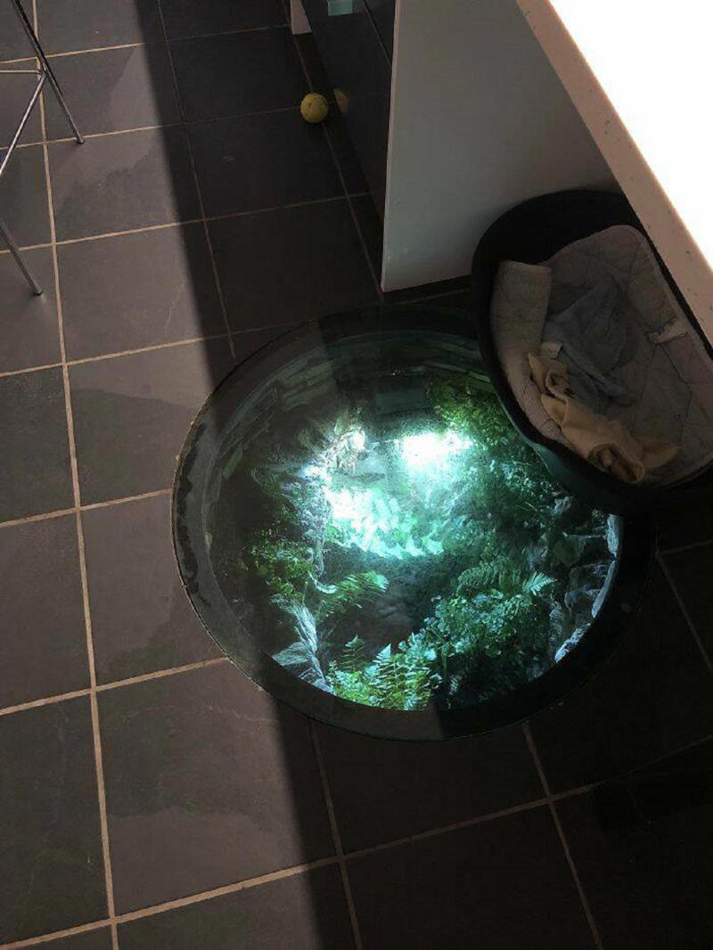 33 Cool Hidden Treasures People Discovered in Their Homes