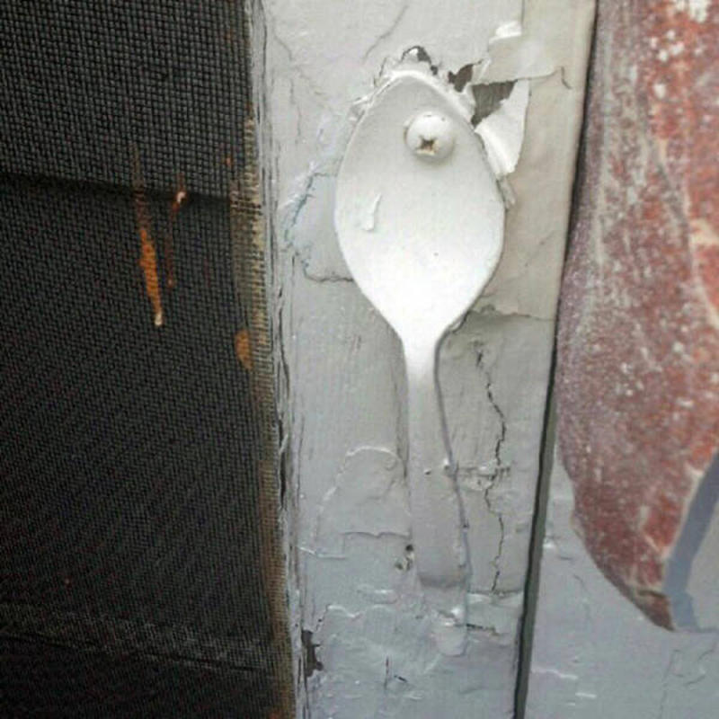 33 Cool Hidden Treasures People Discovered in Their Homes
