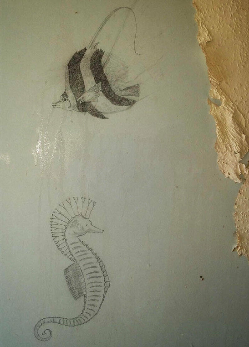 33 Cool Hidden Treasures People Discovered in Their Homes