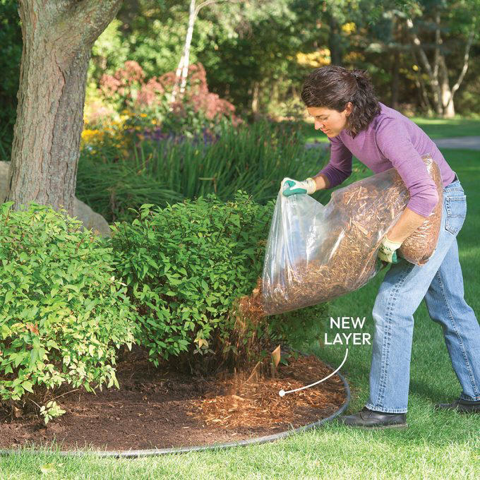 Set Your Blade at the Right Height to Control Weeds, Plant Hardy Ground Covers in Shady Areas, Don’t Fight Weeds Where Grass Won’t Grow, Use Landscape Fabric Staples to Anchor the Seams, Treat Weed Patches With a Small Tank Sprayer, Use a Dial Sprayer When Weeds Are Out of Control, Identify Weeds Before Planning the Attack, Prevent Crabgrass With a Pre-emergent Herbicide, Killing Broadleaf Weeds, Killing Annual Grassy Weeds, Kill Perennial Grassy Weeds: Too Late, Killing Perennial Grassy Weeds One By One