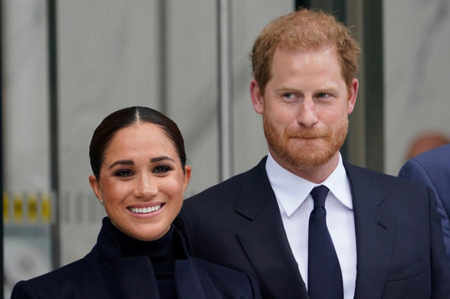 King Edward VIII  , Prince Harry and Meghan Markle , Princess Diana , Princess Mako  , Margrethe II of Denmark 