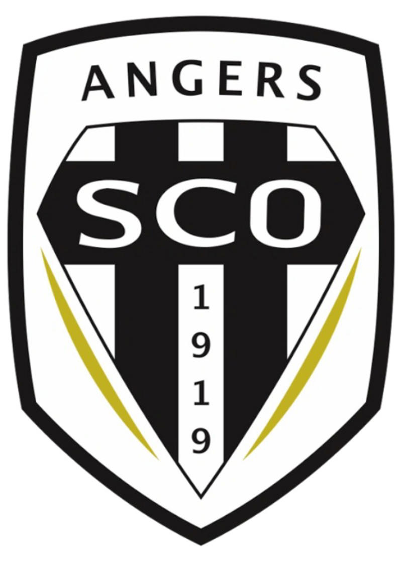 17. Angers – €267,692 per week / €13,920,000 per year 18. Le Havre – £27 million, 16. Angers – £35 million, 15. Metz – £42 million, 14. Auxerre – £46 million, 12. Brest – £54 million, 11. Nantes – £73 million, 10. Toulouse – £81 million, 8. Lyon – £163 million, 7. Strasbourg – £172 million, 6. Nice – £179 million, 4. Lille – £222 million, 3. Marseille – £261 million, 2. Monaco – £338 million