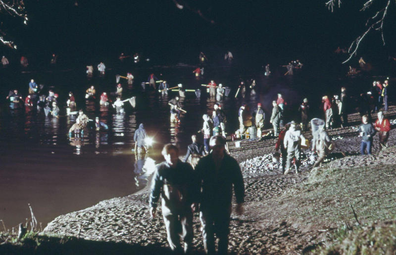 Michigan: Annual smelt run, Tawas City (1973) Life in the 1970s in every state, Alabama: Alabama Theatre, Birmingham (1972), Alaska: Fishing on Nonvianuk Lake (1973), Arizona: Route 66, Winslow (1979), Arkansas: Testing for pollution in Fort Smith (1973), California: The streets of San Francisco (c.1970), Colorado: Galena Street, Aspen (1974), Connecticut: Collin’s Diner, Canaan (1976), Delaware: Old State House, Dover (1970), Florida: Disney’s Magic Kingdom (1970), Georgia: Farmer ploughing field in Helen (1970), Hawaii: The Brady Bunch in ‘Hawaii Bound’ (1972), Idaho: Camping on Lake Stanley (c.1970s), Illinois: Roller Disco fashion show, Chicago (1979), Indiana: Indianapolis 500 (1973), Iowa: Sergeant John F. Baker Jr. Bridge, Davenport (1972), Kansas: Grain elevator, White Cloud (1974), Kentucky: Miners’ homes, Brookside (1974), Louisiana: Bourbon Street, New Orleans (1976), Maine: Fishing in Cape Elizabeth (1971), Maryland: School excursion to Baltimore harbor (1973), Massachusetts: Haymarket Square, Boston (1973), Michigan: Annual smelt run, Tawas City (1973), Minnesota: SkyRise Terrace, St Paul (1971), Mississippi: Hurricane Camille Gift Shop, Gulfport (1979), Missouri: Tourist information booth, Lake of the Ozarks, Montana: East Glacier Park train station (1974), Nebraska: Sioux tribal dance, North Platte (1970), Nevada: Fremont Street, Las Vegas (c.1970), New Hampshire: Waterville Valley (1972), New Jersey: Seaside Heights boardwalk (1978), New Mexico: Mesa viewpoint (c.1970s), New York: Sightseeing cruise, New York City (c.1970s), North Carolina: Prom queen parade, Huntersville (c.1970s), North Dakota: Arriving at Fargo station (c.1972), Ohio: Aerial view of Toledo (c.1970s), Oklahoma: Oral Roberts University, Tulsa (c.1977), Oregon: Union Station, Portland (1974), Pennsylvania: Street parade, Philadelphia (1976), Rhode Island: Giant milk can, Lincoln (1978), South Carolina: Jungle Golf, Myrtle Beach (1979), South Dakota: Reptile Gardens Wild Animal Park (1975), Tennessee: Interstate 24 near Nashville (1972), Texas: Dallas freeway (1970), Utah: Dead Horse Point, Canyonlands (1972), Vermont: Farm shop (1975), Virginia: Tysons Corner Mall, Tysons Corner (1976), Washington: Seattle skyline (1973), West Virginia: Laundromat, Cedar Grove (1973), Wisconsin: Lake Mendota (1979)