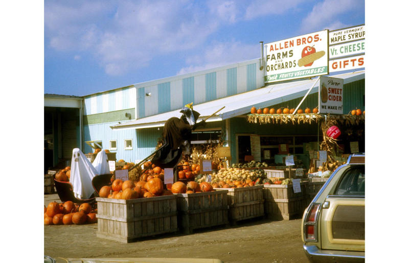 Vermont: Farm shop (1975) Life in the 1970s in every state, Alabama: Alabama Theatre, Birmingham (1972), Alaska: Fishing on Nonvianuk Lake (1973), Arizona: Route 66, Winslow (1979), Arkansas: Testing for pollution in Fort Smith (1973), California: The streets of San Francisco (c.1970), Colorado: Galena Street, Aspen (1974), Connecticut: Collin’s Diner, Canaan (1976), Delaware: Old State House, Dover (1970), Florida: Disney’s Magic Kingdom (1970), Georgia: Farmer ploughing field in Helen (1970), Hawaii: The Brady Bunch in ‘Hawaii Bound’ (1972), Idaho: Camping on Lake Stanley (c.1970s), Illinois: Roller Disco fashion show, Chicago (1979), Indiana: Indianapolis 500 (1973), Iowa: Sergeant John F. Baker Jr. Bridge, Davenport (1972), Kansas: Grain elevator, White Cloud (1974), Kentucky: Miners’ homes, Brookside (1974), Louisiana: Bourbon Street, New Orleans (1976), Maine: Fishing in Cape Elizabeth (1971), Maryland: School excursion to Baltimore harbor (1973), Massachusetts: Haymarket Square, Boston (1973), Michigan: Annual smelt run, Tawas City (1973), Minnesota: SkyRise Terrace, St Paul (1971), Mississippi: Hurricane Camille Gift Shop, Gulfport (1979), Missouri: Tourist information booth, Lake of the Ozarks, Montana: East Glacier Park train station (1974), Nebraska: Sioux tribal dance, North Platte (1970), Nevada: Fremont Street, Las Vegas (c.1970), New Hampshire: Waterville Valley (1972), New Jersey: Seaside Heights boardwalk (1978), New Mexico: Mesa viewpoint (c.1970s), New York: Sightseeing cruise, New York City (c.1970s), North Carolina: Prom queen parade, Huntersville (c.1970s), North Dakota: Arriving at Fargo station (c.1972), Ohio: Aerial view of Toledo (c.1970s), Oklahoma: Oral Roberts University, Tulsa (c.1977), Oregon: Union Station, Portland (1974), Pennsylvania: Street parade, Philadelphia (1976), Rhode Island: Giant milk can, Lincoln (1978), South Carolina: Jungle Golf, Myrtle Beach (1979), South Dakota: Reptile Gardens Wild Animal Park (1975), Tennessee: Interstate 24 near Nashville (1972), Texas: Dallas freeway (1970), Utah: Dead Horse Point, Canyonlands (1972), Vermont: Farm shop (1975), Virginia: Tysons Corner Mall, Tysons Corner (1976), Washington: Seattle skyline (1973), West Virginia: Laundromat, Cedar Grove (1973), Wisconsin: Lake Mendota (1979)