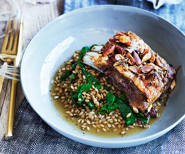 The best slow-cooked lamb recipes to cook this winter,          Slow-cooked lamb shoulder with rosemary pesto      ,          Slow-cooked lamb shoulder with black garlic and mint persillade      ,          Sarah Cicolini’s fusilli con ragù di agnello (fusilli with lamb ragù)      ,          Lamb korma      ,          Greg Malouf’s baharat lamb shoulder with onions and moghrabieh      ,          Phil Wood’s lamb with roast-apple chutney      ,          Roast lamb neck with kale, feta and dill      ,          Slow-cooked spiced lamb with prunes      ,          Guy Grossi’s abbacchio alla Romana      ,          Shane Delia’s 12-hour roast lamb with pistachio and green-olive tabbouleh      ,          Braised pumpkin and lamb neck      ,          Greek-style lamb shoulder and bean stew      ,          Lamb shanks baked in paper with olives and red wine      ,          Sean McConnell’s slow-roasted lamb shoulder with pistachios, pomegranate and vine leaves      ,          Paul Carmichael’s curried lamb leg      ,          Shawarma-spiced roast lamb leg with beetroot sauce      ,          Buttermilk-brined lamb shoulder with harissa      ,          Iranian-style lamb shoulder with cranberry and pistachio spiced rice      ,          Pinbone’s lamb shoulder ragù with gnocchetti      ,          Rick Shores’ slow roasted lamb shoulder with yellow bean, cumin and chilli      
