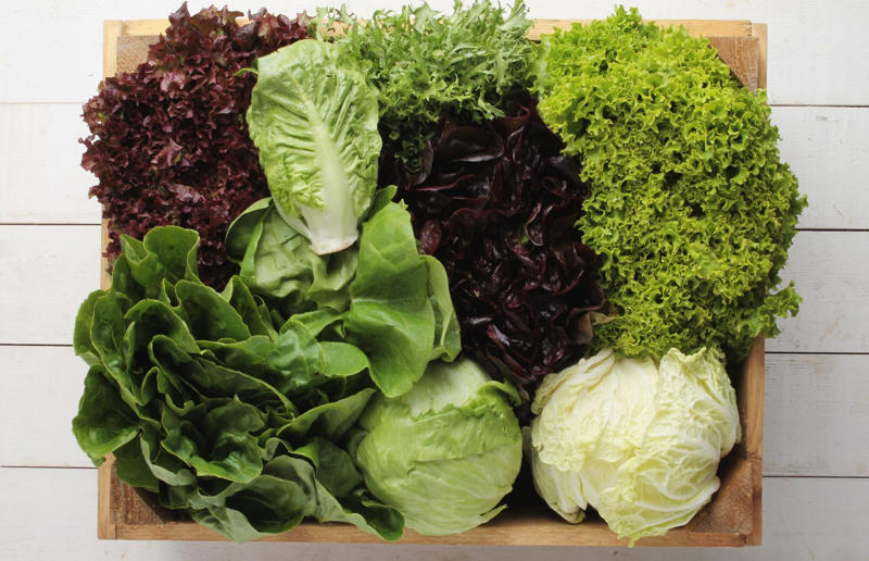 29. Choose salad leaves wisely 32. Think about portion sizes, 31. Keep the peel, 30. Make the most of citrus fruit, 29. Choose salad leaves wisely, 28. Don't toss those broccoli stems, 27. Use leftover tomatoes to make pesto, 26. Swap plastic for paper, 25. Organize the pantry, 24. Buy less than perfect, 23. Transform leftover rice into arancini, 22. Eat root to leaf, 21. Use leftover bread to create panzanella, 20. Store nuts properly, 19. Use leftover pasta in a family-friendly bake, 18. Don't ditch the loaf, 17. Try preserving and pickling, 16. Get composting, 15. Stock up on cans, 14. Extend the life of cheese, 13. Store smartly, 12. Love your freezer, 11. Never throw out bananas, 10. Preserve your herbs, 9. Stretch the weekend roast, 8. Buy loose fruit and vegetables, 7. Never throw away leftover mashed potatoes, 6. Buy a whole chicken, 5. Get menu planning, 4. Shop local, shop seasonal, 3. Get into batch cooking, 2. Check the refrigerator