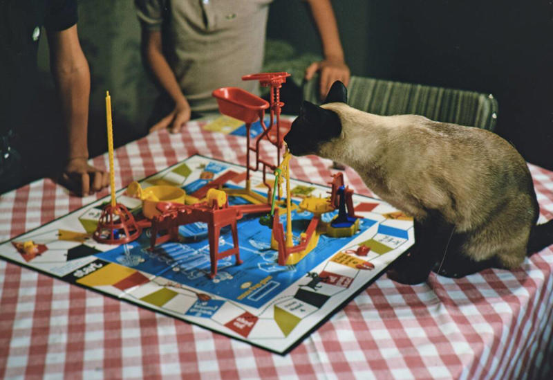 Mouse Trap Barbie Dolls, Stretch Armstrong, G.I. Joe, Star Wars Action Figures, Etch A Sketch, Rubik's Cube, Chatty Cathy, Speak & Spell, Easy-Bake Oven, Big Wheel, Rock 'Em Sock 'Em Robots, View-Master, Hungry Hungry Hippos, Hot Wheels, Lite-Brite, Pet Rock, Super Ball, Mastermind, Spirograph, Silly Putty, Magic 8-Ball, Game of Life, Clackers, Mouse Trap, Little People