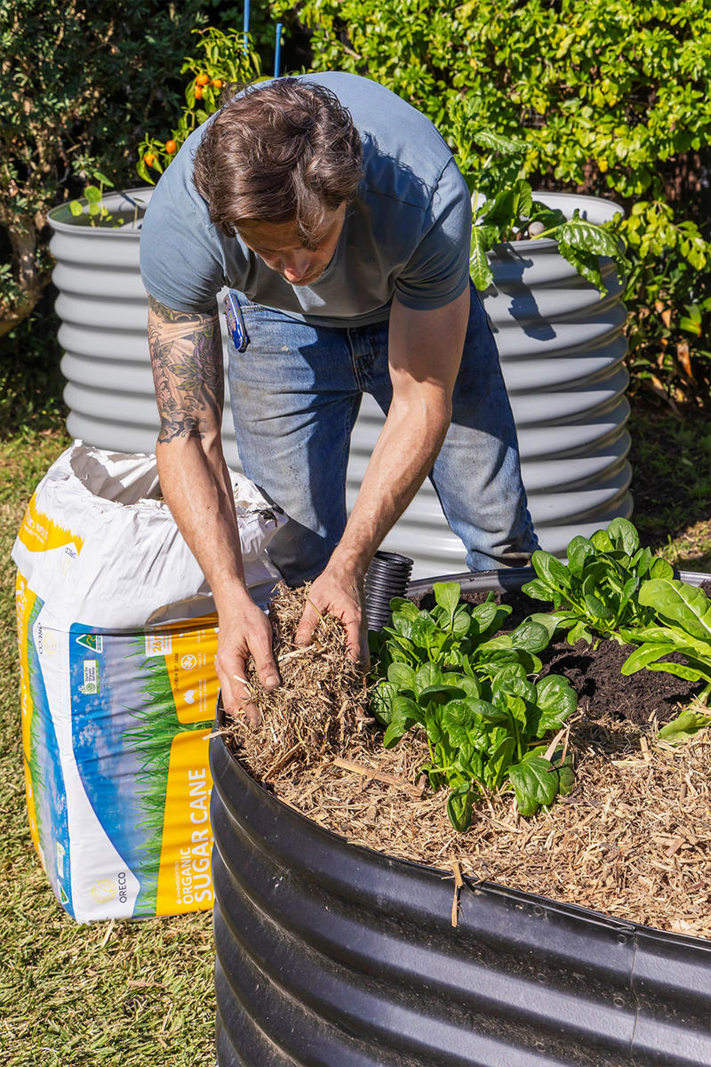 How to build a wicking bed, How to make a wicking garden bed, How does wicking work?, Advantages of a wicking bed, What are the disadvantages of wicking beds?, What do you fill a wicking bed with?, How deep do wicking beds need to be?, What is the best soil for wicking beds in Australia?, Shop raised garden beds