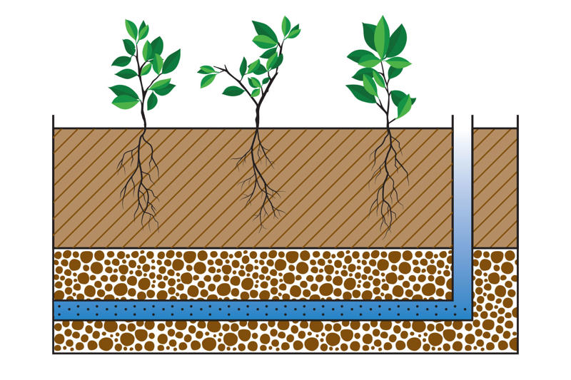 How to build a wicking bed, How to make a wicking garden bed, How does wicking work?, Advantages of a wicking bed, What are the disadvantages of wicking beds?, What do you fill a wicking bed with?, How deep do wicking beds need to be?, What is the best soil for wicking beds in Australia?, Shop raised garden beds