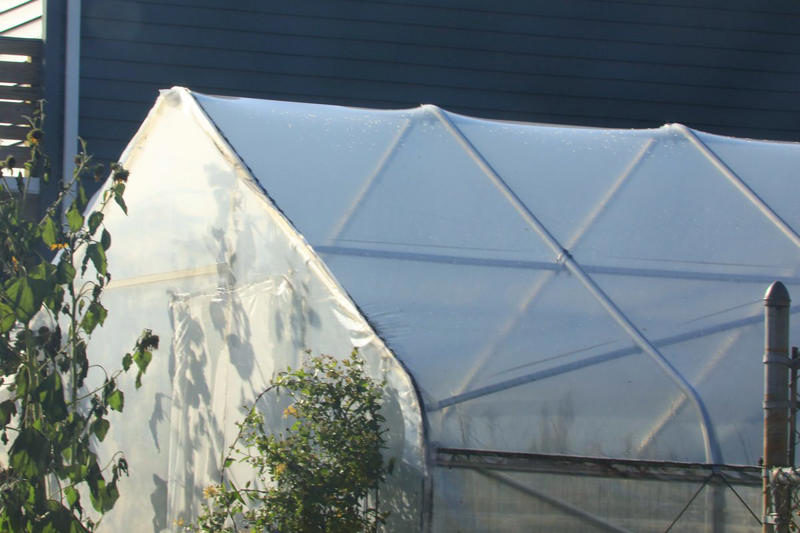 Cheap Tools, Quick-Fix Products, Inexpensive Plumbing Fixtures, Greenhouse Plastic, Cabinets, Lawn Mowers