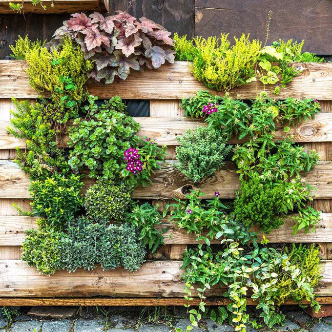 Hide AC Unit with a Living Garden AC Cover, Hide AC Unit with a Modern Outdoor AC Cover, AC Cover/Tool Shed, Hide AC Unit with Tall Shrubs, Hide AC Unit with Birdhouse Picket Fence, Hide AC Unit with a Shabby Chic Shutter Screen, Hide AC Unit with an Iron Trellis, Hide AC Unit with a Multi-Purpose Structure, Hide AC Unit with an Outdoor Privacy Screen