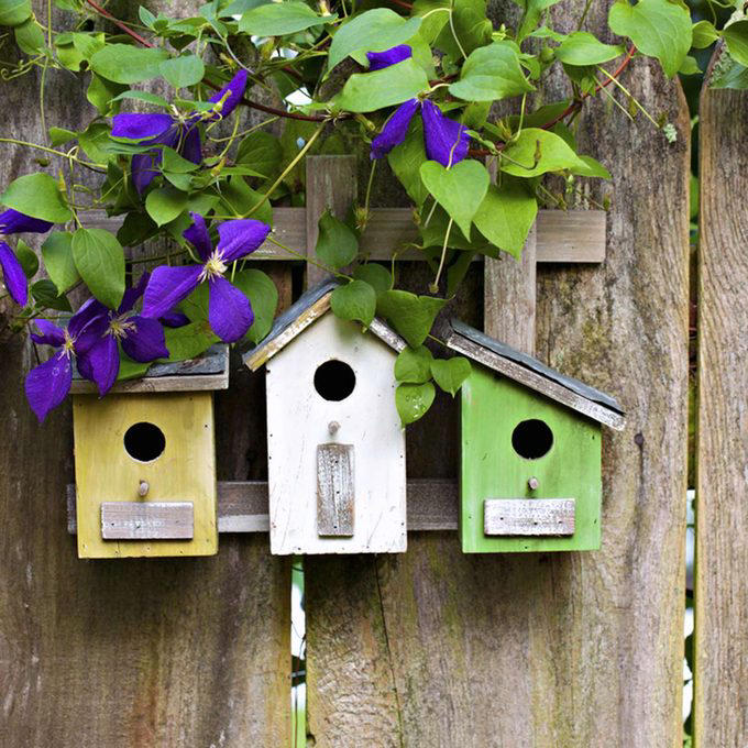 Hide AC Unit with a Living Garden AC Cover, Hide AC Unit with a Modern Outdoor AC Cover, AC Cover/Tool Shed, Hide AC Unit with Tall Shrubs, Hide AC Unit with Birdhouse Picket Fence, Hide AC Unit with a Shabby Chic Shutter Screen, Hide AC Unit with an Iron Trellis, Hide AC Unit with a Multi-Purpose Structure, Hide AC Unit with an Outdoor Privacy Screen