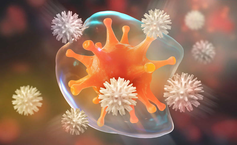 Inflammation, The body's defense, Symptoms of inflammation, Inflammation response, Effects of inflammation, Depression and bipolar disorder, Anxiety and trauma, The gut and the brain, Inflammation causes, Mind-body medicine
