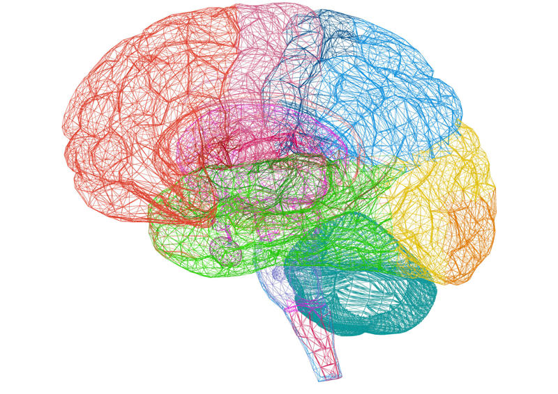 Inflammation, The body's defense, Symptoms of inflammation, Inflammation response, Effects of inflammation, Depression and bipolar disorder, Anxiety and trauma, The gut and the brain, Inflammation causes, Mind-body medicine