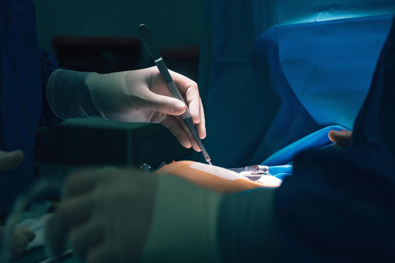 Factors that make a medical procedure expensive: complexity, Factors that make a medical procedure expensive: equipment, Factors that make a medical procedure expensive: medical staff, Heart transplant, Liver transplant, Bone marrow transplant, Double lung transplant, Intestinal or small bowel transplant, Pancreas transplant, Kidney transplant, Exploratory chest surgery, Esophagectomy, Tracheostomy, Transcatheter aortic valve replacement, Carotid artery stent, Lumbar spine surgery
