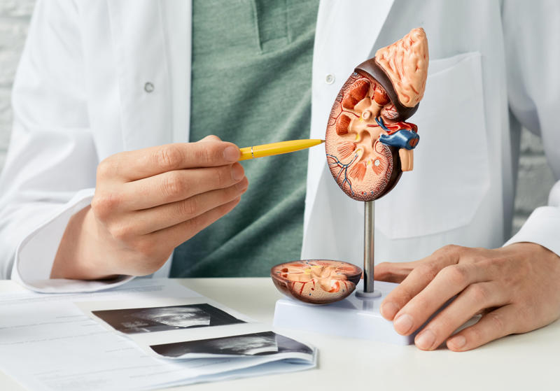 Factors that make a medical procedure expensive: complexity, Factors that make a medical procedure expensive: equipment, Factors that make a medical procedure expensive: medical staff, Heart transplant, Liver transplant, Bone marrow transplant, Double lung transplant, Intestinal or small bowel transplant, Pancreas transplant, Kidney transplant, Exploratory chest surgery, Esophagectomy, Tracheostomy, Transcatheter aortic valve replacement, Carotid artery stent, Lumbar spine surgery