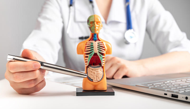 Factors that make a medical procedure expensive: complexity, Factors that make a medical procedure expensive: equipment, Factors that make a medical procedure expensive: medical staff, Heart transplant, Liver transplant, Bone marrow transplant, Double lung transplant, Intestinal or small bowel transplant, Pancreas transplant, Kidney transplant, Exploratory chest surgery, Esophagectomy, Tracheostomy, Transcatheter aortic valve replacement, Carotid artery stent, Lumbar spine surgery
