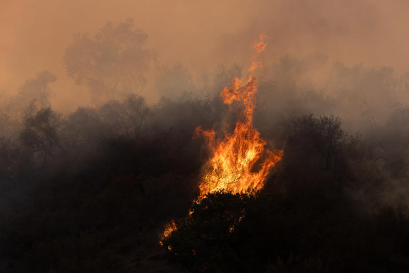 1. Fuel Wildfires on the rise, Santa Ana winds, A growing toll, Climate change, Human activity, Western states, Fighting fire with fire, Worsening fire risks, Disinfecting the forest, The importance of early evacuation, Wildfire masks and breathing tips, Flood risks after wildfires