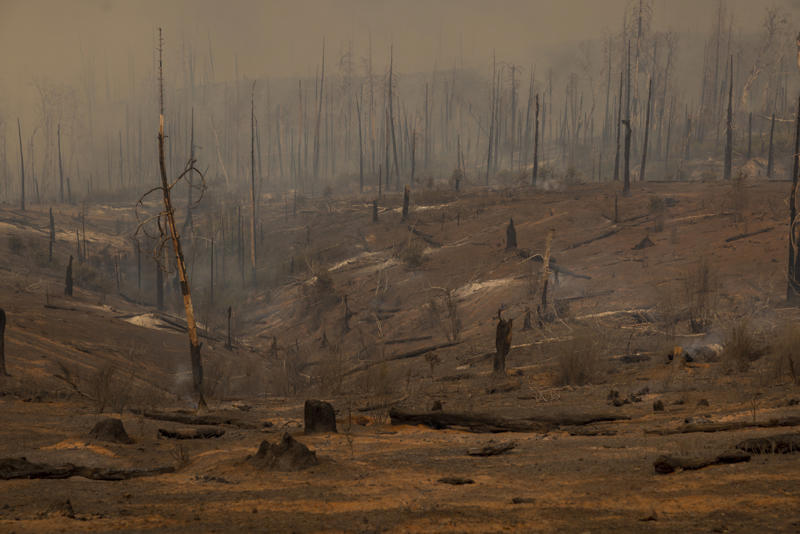 Flood risks after wildfires Wildfires on the rise, Santa Ana winds, A growing toll, Climate change, Human activity, Western states, Fighting fire with fire, Worsening fire risks, Disinfecting the forest, The importance of early evacuation, Wildfire masks and breathing tips, Flood risks after wildfires