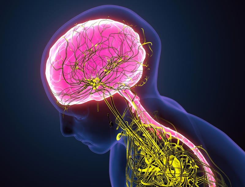 What causes young onset dementia? What is younger onset dementia?, Consequences of dementia, Recognizing the condition, Signs and symptoms, Advanced signs and symptoms, What causes young onset dementia?, Early diagnosis, Planning for the future, Work out a support plan, Financial affairs, Reduce stress levels, Exercise the brain, Eat properly