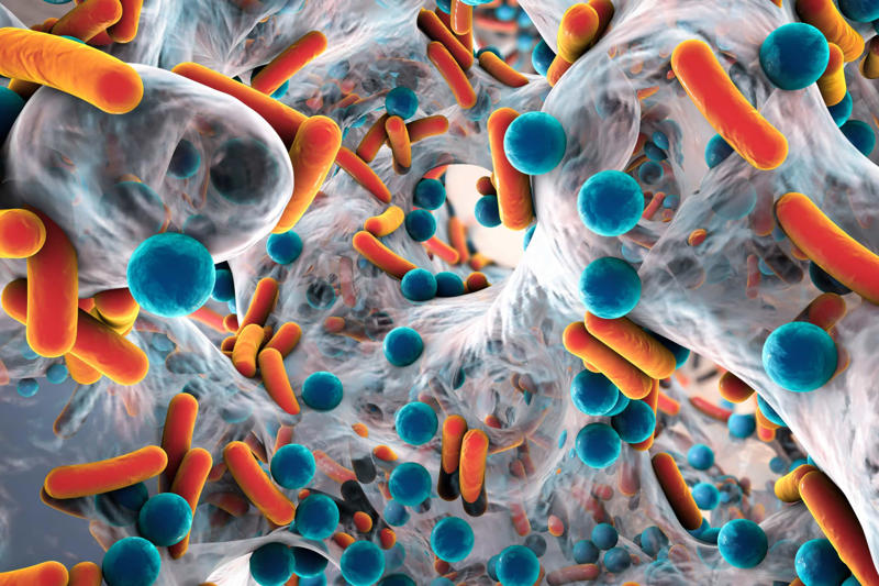 Nuclear weapons, Biological and chemical weapons, Climate change, Collapse of the global ecosystem, Antibiotic-resistant bacteria, Global pandemics, Asteroids, Supervolcanic eruptions, Artificial intelligence, Unknown threats