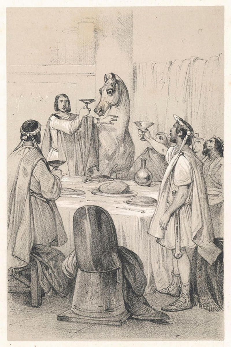 Myth #1: Gladiators fought to the death, Myth #2: Vomitoriums were used for indulgent purging, Myth #3: Ancient Roman statues were white, Myth #4: Nero played the fiddle while Rome burned, Myth #5: Roman women were confined to the home, Myth #6: Everyone looked and spoke the same, Myth #7: Christian martyrs were only slain in the Colosseum, Myth #9: Romans always wore togas, Myth #10: Julius Caesar’s last words were “Et tu, Brute?”, Myth #11: All gladiators were slaves, prisoners, and men, Myth #12: Slaves rowed Roman war vessels, Myth #13: Caligula’s horse was a government official, Myth #14: Roman gods were just Greek imports, Myth #15: The “Nazi salute” was invented in Rome