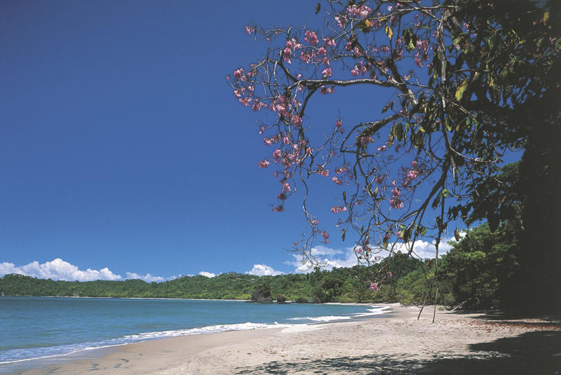 Antigua and Barbuda, The Bahamas, Barbados, Cabo Verde, Costa Rica, Czech Republic, Dominica, Mauritius, Montserrat, Portugal, Seychelles