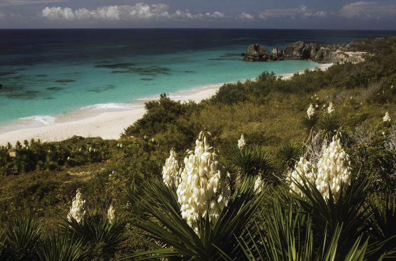 Bermuda Philippines, Antigua and Barbuda, The Bahamas, Cabo Verde, Costa Rica, Czech Republic, Dominica, Montserrat, Portugal, Seychelles, Tax requirements