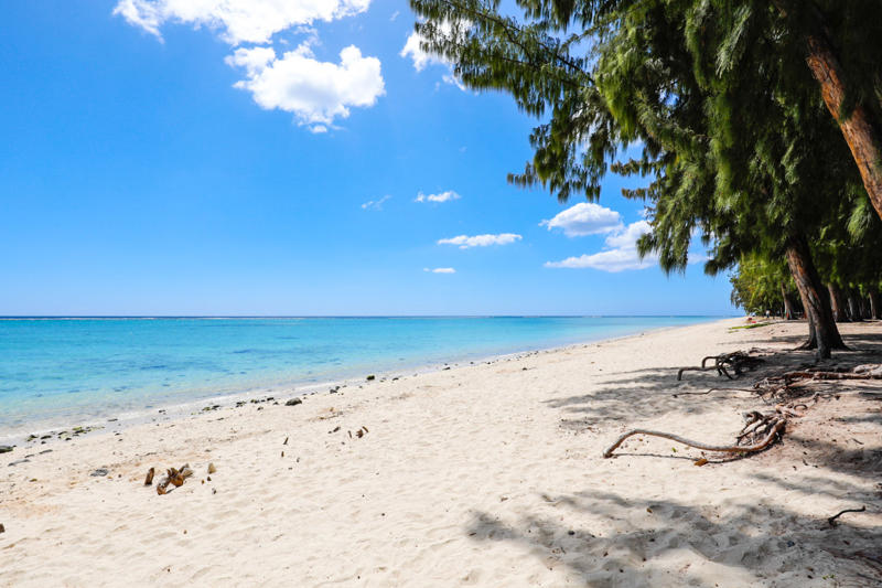 Antigua and Barbuda, The Bahamas, Barbados, Cabo Verde, Costa Rica, Czech Republic, Dominica, Mauritius, Montserrat, Portugal, Seychelles
