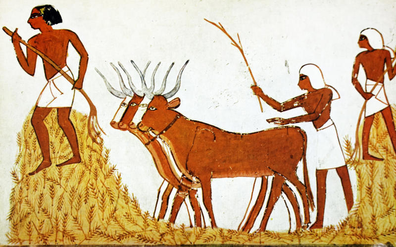 Agriculture Ancient Egypt, Hydraulics, Ingenious methods, Rainfall, Metallurgy, Agriculture, The wheel, Irrigation and water, Astronomy, Stonehenge, Shipbuilding and navigation, Calendar systems, Beads and jewelry