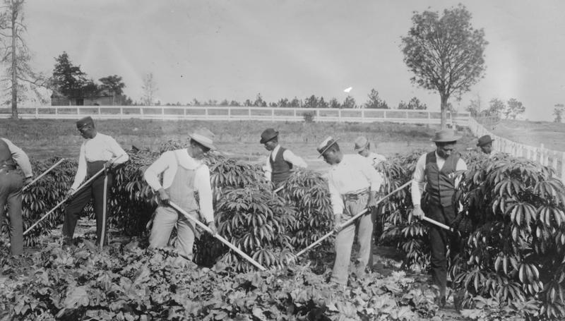 The 'volunteers' America's dark history of medical racism, Unethical human experimentation, James Marion Sims, Eugenics and nonconsensual sterilization, The 1946 STD Inoculation Study, Yellow fever in Georgia, The Tuskegee Syphilis Study, Why is syphilis so dangerous?, Oslo, 1928, Macon County, Alabama, The 'volunteers', The lies, The 'treatments', Blocking treatment access, Forty years of suffering, World War II
