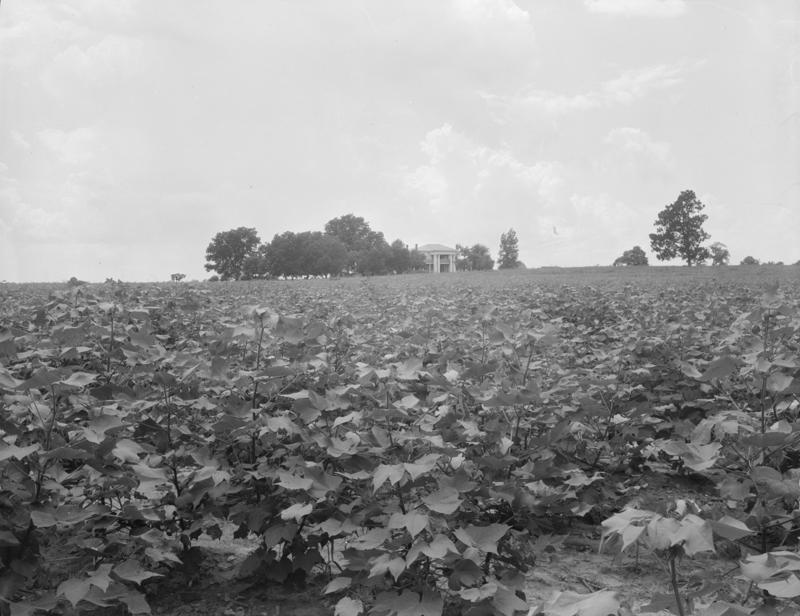 Macon County, Alabama America's dark history of medical racism, Unethical human experimentation, James Marion Sims, Eugenics and nonconsensual sterilization, The 1946 STD Inoculation Study, Yellow fever in Georgia, The Tuskegee Syphilis Study, Why is syphilis so dangerous?, Oslo, 1928, Macon County, Alabama, The 'volunteers', The lies, The 'treatments', Blocking treatment access, Forty years of suffering, World War II