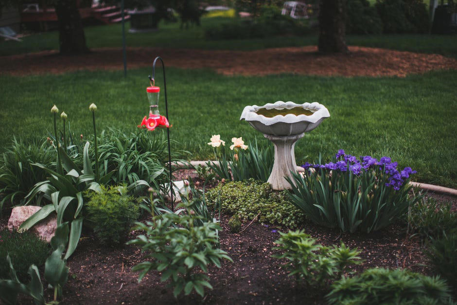 How to spot poisonous flowers, 10 poisonous backyard flowers to watch out for, How do you treat exposure to poisonous plants?, The bottom line